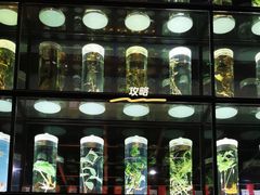 -广东中医药博物馆