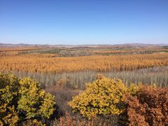 -塞罕坝国家级自然保护区