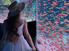 -海合安成都极地海洋公园