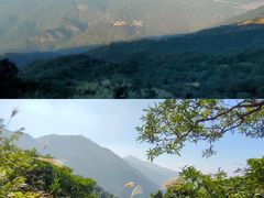 -广东惠东海龟国家级自然保护区