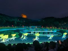 -鼎盛王朝康熙大典实景演出