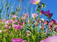 -Peet's Coffee皮爷咖啡(上海长风大悦城店)