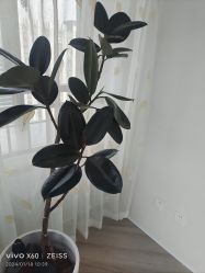 -HEYAN荷妍专业脱毛连锁机构