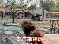 -辛庄国际文化艺术区