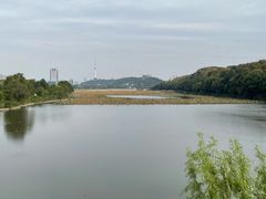 -月湖风景区