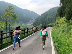 -武陵山森林公园