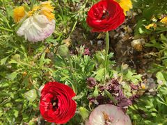 -元大都城垣遗址公园