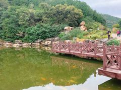 -北京西山国家森林公园