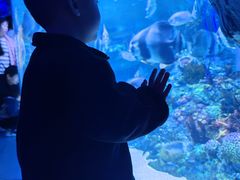 -海合安成都极地海洋公园