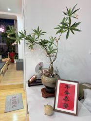 -Your Yoga Pilates·瑜伽普拉提习练室