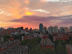 -紫光园(劲松店)