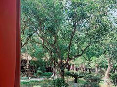 -南岳衡山风景名胜区-南岳大庙