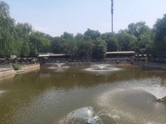 -亲兄弟真人CS团建拓展基地