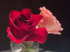 -波特曼西餐厅(南岗店)