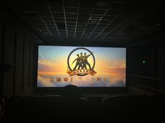 -华美国际影城(旧宫永辉店)