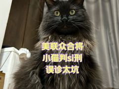 -美联众合动物医院·24h京西诊疗中心
