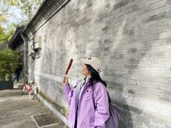-北京国子监胡同
