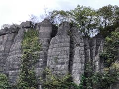-山王坪喀斯特国家生态公园