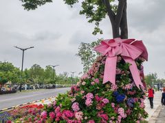 -苏州上方山国家森林公园