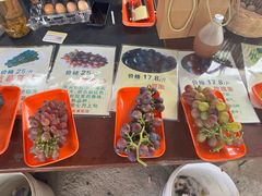 -马陆小张葡萄园农家乐