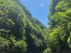 -阿依河景区