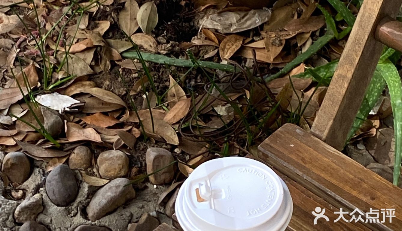 小巷里的新发现！氛围感咖啡店☕️转角咖啡