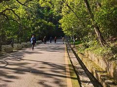 -黔灵山公园