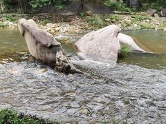 -武汉姚家山旅游景区