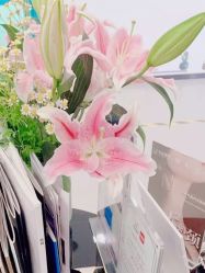 -联合丽格·张菡丽格医疗美容