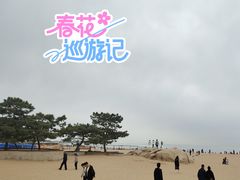 -老虎石海上公园