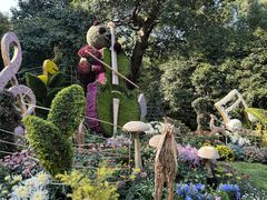 -杭州植物园