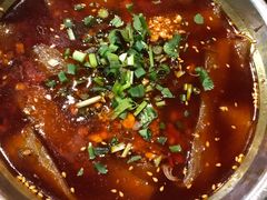 火锅粉-镇江龙·火锅串串(武侯祠店)