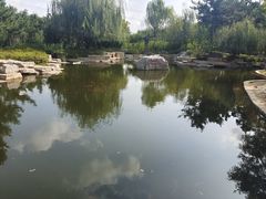 -羊亭河湿地公园