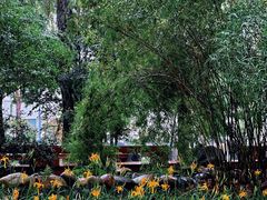 -成都市活水公园