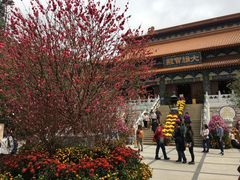 -天坛大佛