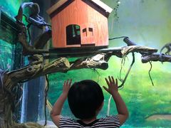 -华夏文旅海洋公园