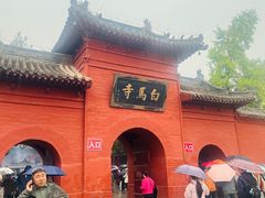 -洛阳白马寺