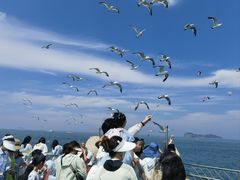-海驴岛(荣成市)
