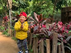 -呀路古热带植物园