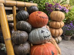 -懒人盐府人家(安贞店)