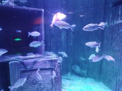 -沈阳海洋探索中心