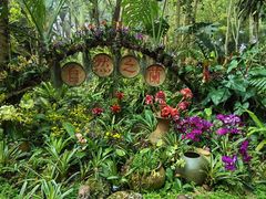 -中国科学院西双版纳热带植物园