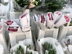 -山姆会员商店(杨桥西路店)
