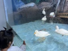 -海合安青岛极地海洋公园