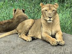 -北京野生动物园