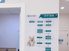 -瑞派康怡24h宠物医院·犬猫医疗中心·微创绝育(瑞景分院)