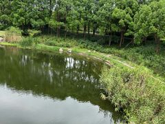 -美兰湖景区
