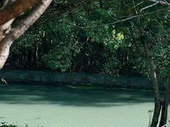-同里国家湿地公园