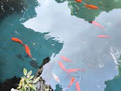 -佛山市祖庙博物馆