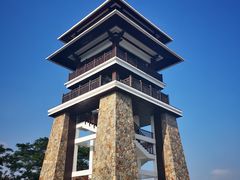 -大湾区中央湿地公园